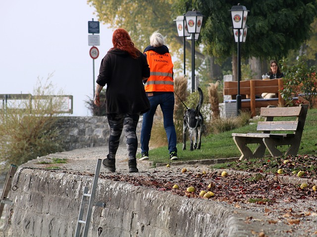 Bild von Constanze Beyer auf Pixabay