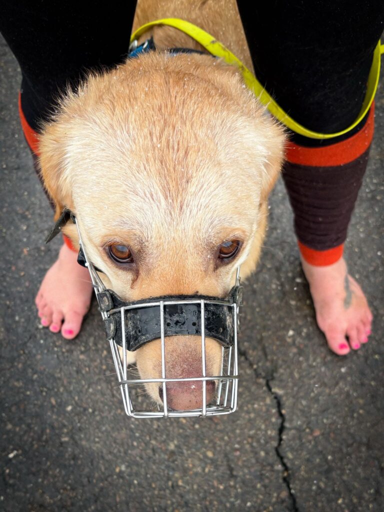 c98d3f57-fd19-4fbb-9e7f-da8ac8a102bc